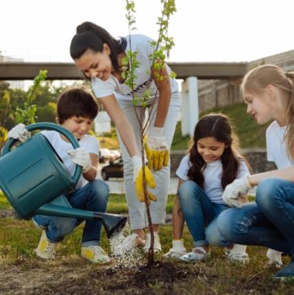 family watering a tree